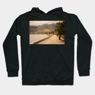 Ltea Hoodie